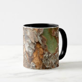 USA, Tennessee, Naher Bachstand auf einem Baum Tasse (VorderseiteRechts)