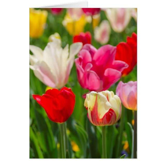 USA, Tennessee, Nashville (Vorne)