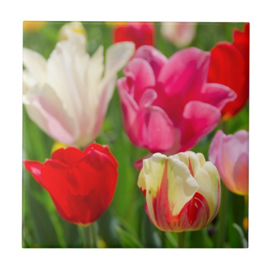 USA, Tennessee, Nashville Fliese (Vorderseite)