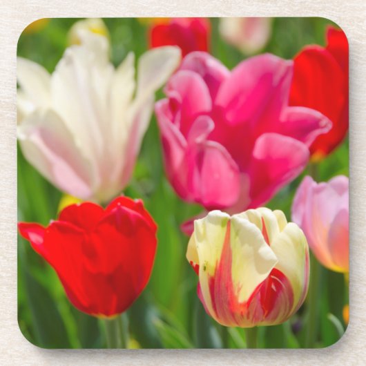 USA, Tennessee, Nashville Getränkeuntersetzer (Vorderseite)