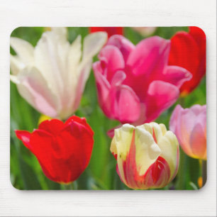 USA, Tennessee, Nashville Mousepad