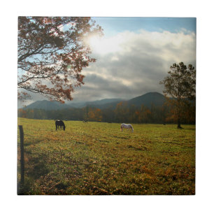 USA, Tennessee. Pferde im Cades Cove Tal Fliese
