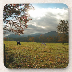 USA, Tennessee. Pferde im Cades Cove Tal Getränkeuntersetzer