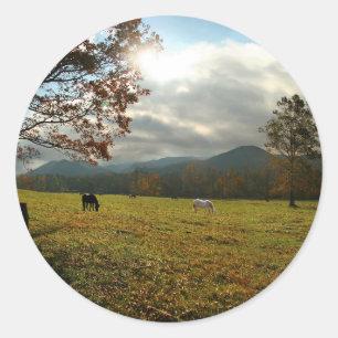 USA, Tennessee. Pferde im Cades Cove Tal Runder Aufkleber