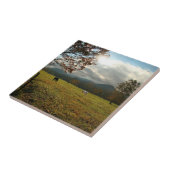 USA, Tennessee. Pferde im Höhlental Fliese (Seite)