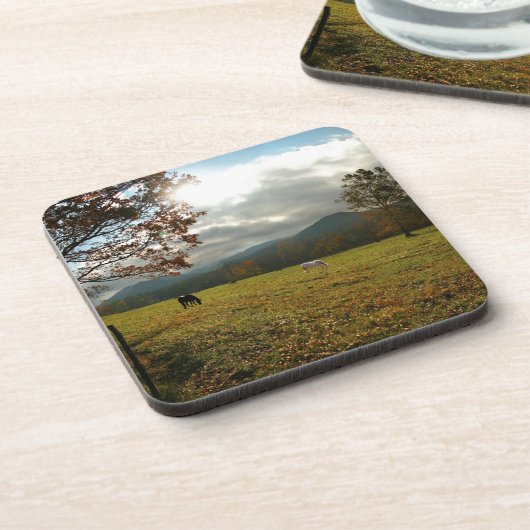 USA, Tennessee. Pferde im Höhlental Getränkeuntersetzer (Linke Seite)