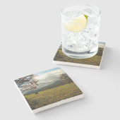 USA, Tennessee. Pferde im Höhlental Steinuntersetzer (Seitenansicht)