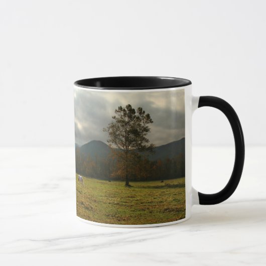 USA, Tennessee. Pferde im Höhlental Tasse (Rechts)