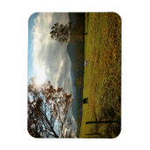 USA, Tennessee. Pferde in Höhlen Cove Valley Magnet (Vertikal)