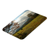 USA, Tennessee. Pferde in Höhlen Cove Valley Magnet (Linke Seite)