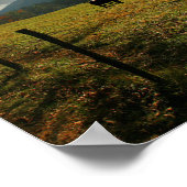 USA, Tennessee. Pferde in Höhlen Cove Valley Poster (Ecke)