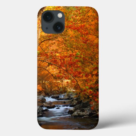 USA, Tennessee. Rushing Mountain Creek 2 Case-Mate iPhone Hülle (Rückseite)