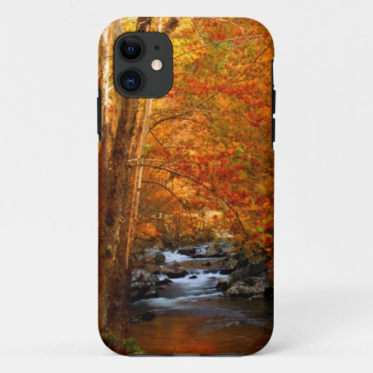 USA, Tennessee. Rushing Mountain Creek 2 Case-Mate iPhone Hülle (Rückseite)
