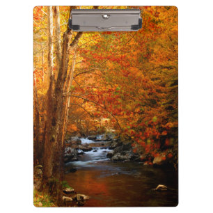 USA, Tennessee. Rushing Mountain Creek 2 Klemmbrett