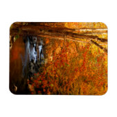 USA, Tennessee. Rushing Mountain Creek 2 Magnet (Horizontal)