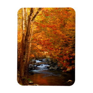 USA, Tennessee. Rushing Mountain Creek 2 Magnet