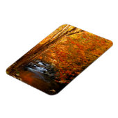 USA, Tennessee. Rushing Mountain Creek 2 Magnet (Linke Seite)
