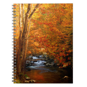 USA, Tennessee. Rushing Mountain Creek 2 Notizblock