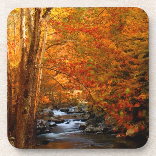 USA, Tennessee. Rushing Mountain Creek 2 Untersetzer (Vorderseite)