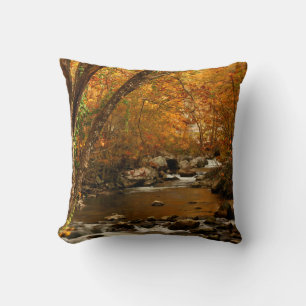USA, Tennessee. Rushing Mountain Creek 3 Kissen