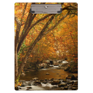 USA, Tennessee. Rushing Mountain Creek 3 Klemmbrett