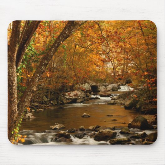 USA, Tennessee. Rushing Mountain Creek 3 Mousepad (Vorne)