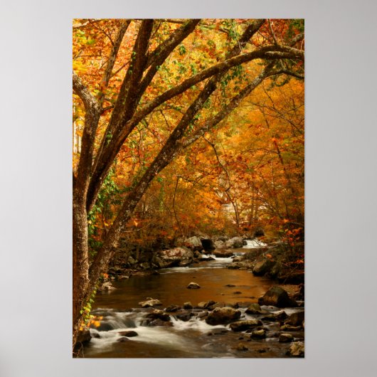 USA, Tennessee. Rushing Mountain Creek 3 Poster (Vorne)