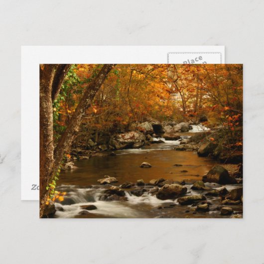 USA, Tennessee. Rushing Mountain Creek 3 Postkarte (Vorne/Hinten)