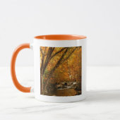 USA, Tennessee. Rushing Mountain Creek 3 Tasse (Links)