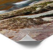 USA, Tennessee. Rushing Mountain Creek 4 Poster (Ecke)