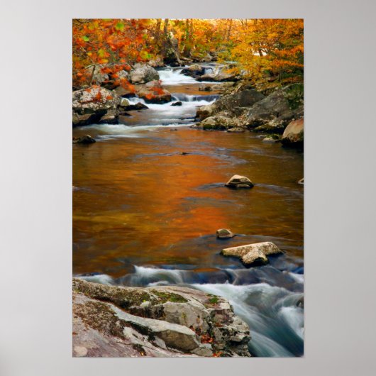 USA, Tennessee. Rushing Mountain Creek 4 Poster (Vorne)