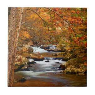 USA, Tennessee. Rushing Mountain Creek Fliese