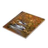 USA, Tennessee. Rushing Mountain Creek Fliese (Seite)