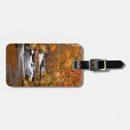 USA, Tennessee. Rushing Mountain Creek Gepäckanhänger (Vorderseite horizontal)