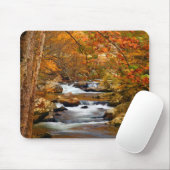 USA, Tennessee. Rushing Mountain Creek Mousepad (Mit Mouse)