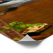 USA, Tennessee. Rushing Mountain Creek Poster (Ecke)