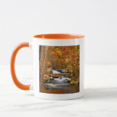 USA, Tennessee. Rushing Mountain Creek Tasse (Links)