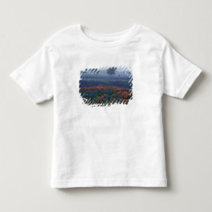 USA, Texas, bei Lytle Fog, Eichen, blaue Hauben Kleinkind T-shirt