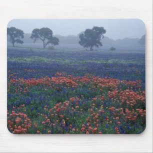 USA, Texas, bei Lytle Nebel, Eichen, blaue Hauben Mousepad