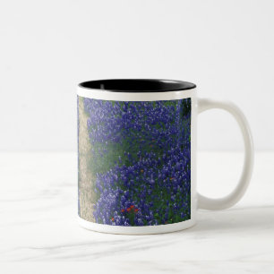 USA, Texas, bei Marble Falls, Spuren in blau Zweifarbige Tasse