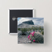 USA, Texas, Big Bend National Park.Blühen Button (Vorne & Hinten)