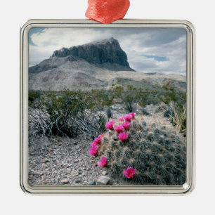 USA, Texas, Big Bend National Park.Blühen Ornament Aus Metall