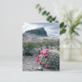 USA, Texas, Big Bend National Park. Blühen Postkarte (Stehend Vorderseite)