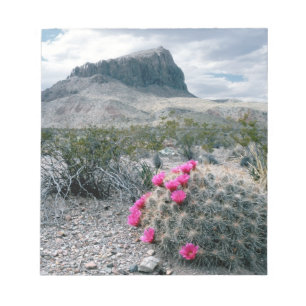 USA, Texas, Big Bend National Park. Blühend Notizblock