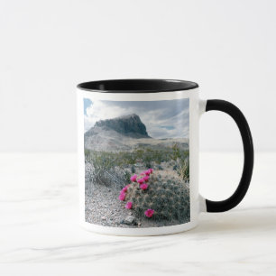 USA, Texas, Big Bend Nationalpark. Blüht Tasse