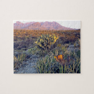 USA, Texas, Big Bend NP. Ein sandiger rosa Abend Puzzle