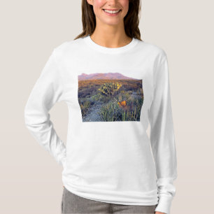 USA, Texas, Big Bend NP. Ein sandiger rosa Abend T-Shirt
