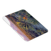 USA, Texas, Big Bend NP. Eine sandrosa Dämmerung Magnet (Rechte Seite)