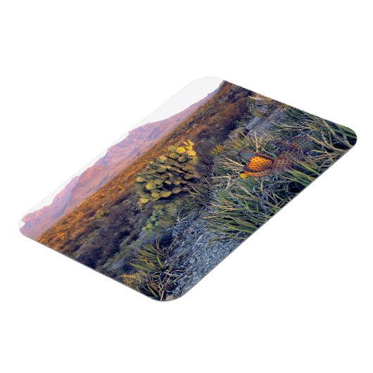 USA, Texas, Big Bend NP. Eine sandrosa Dämmerung Magnet (Linke Seite)