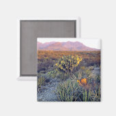 USA, Texas, Big Bend NP. Eine sandrosa Dämmerung Magnet (Vorderseite/Rückseite)